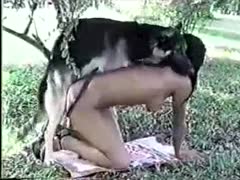 Several previously unseen females participating in beastiality
